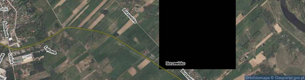 Zdjęcie satelitarne Borzewisko ul.