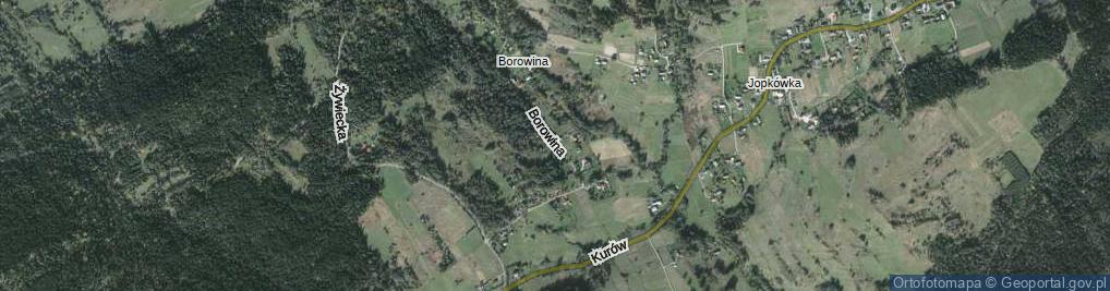 Zdjęcie satelitarne Borowina ul.
