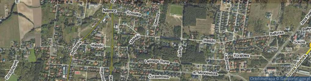 Zdjęcie satelitarne Borowikowa ul.
