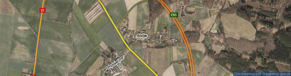Zdjęcie satelitarne Borów ul.