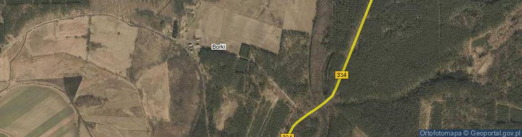 Zdjęcie satelitarne Borki ul.
