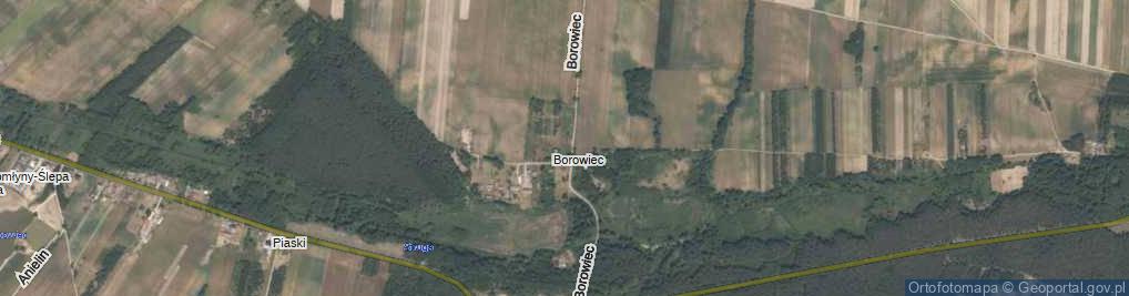 Zdjęcie satelitarne Borowiec ul.