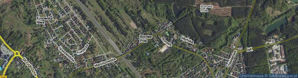 Zdjęcie satelitarne Borowe Pole ul.