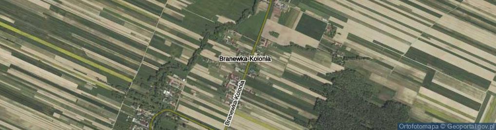 Zdjęcie satelitarne Branewka-Kolonia ul.
