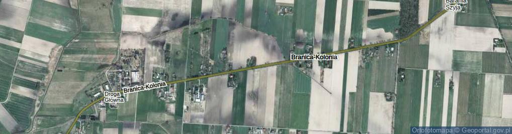 Zdjęcie satelitarne Branica-Kolonia ul.