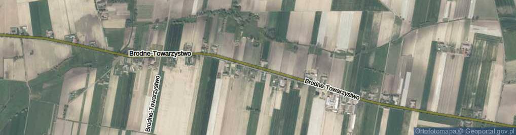 Zdjęcie satelitarne Brodne-Towarzystwo ul.