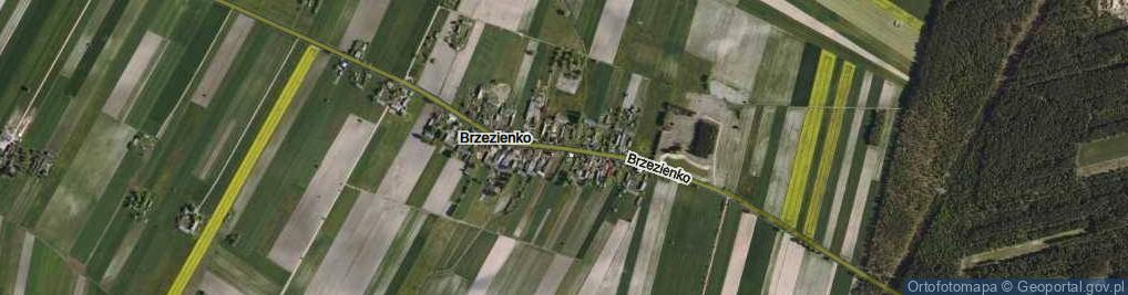 Zdjęcie satelitarne Brzezienko ul.