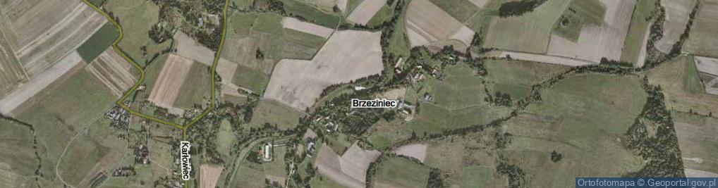 Zdjęcie satelitarne Brzeziniec ul.