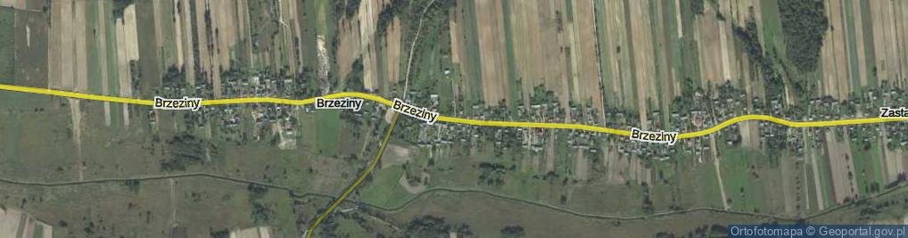 Zdjęcie satelitarne Brzeziny ul.