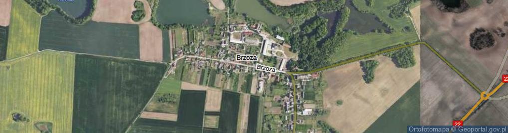 Zdjęcie satelitarne Brzoza ul.