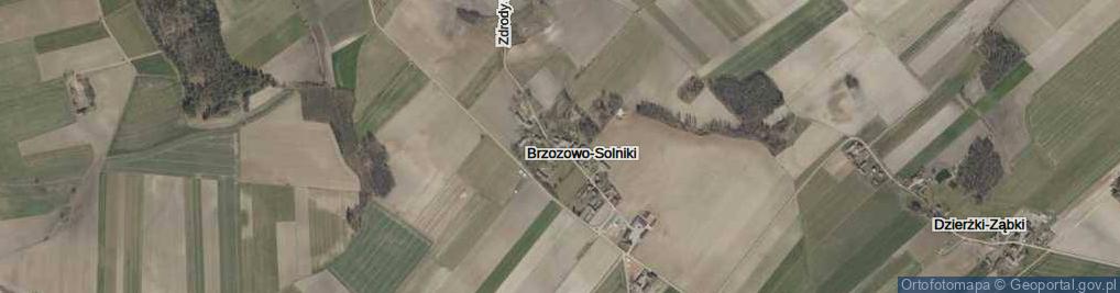 Zdjęcie satelitarne Brzozowo-Solniki ul.