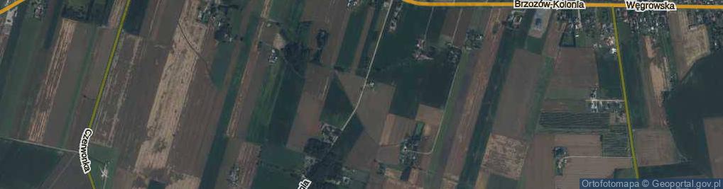 Zdjęcie satelitarne Brzozów-Kolonia ul.