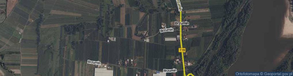 Zdjęcie satelitarne Brzumin ul.