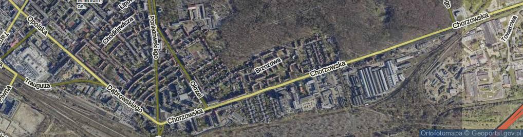Zdjęcie satelitarne Brzozowa ul.