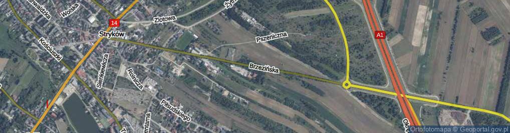 Zdjęcie satelitarne Brzezińska ul.
