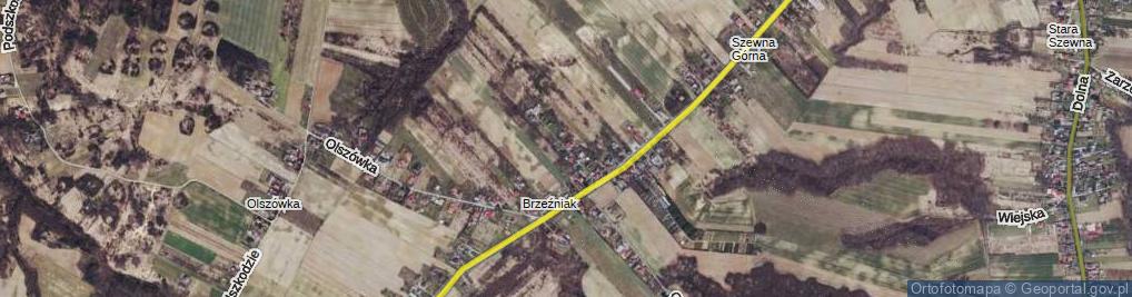Zdjęcie satelitarne Brzeźniakówka ul.