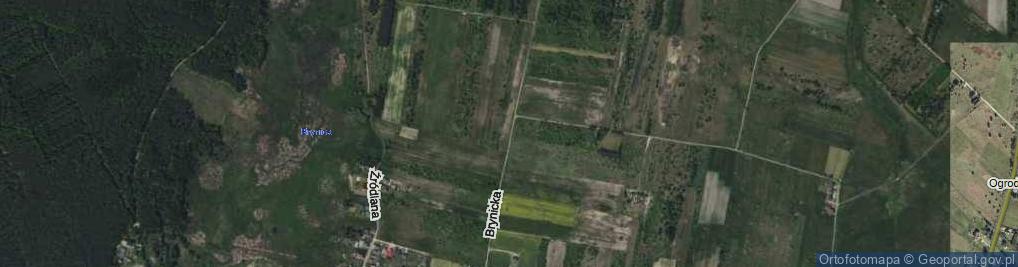 Zdjęcie satelitarne Brynicka ul.