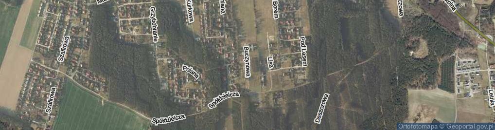 Zdjęcie satelitarne Buczynowa ul.