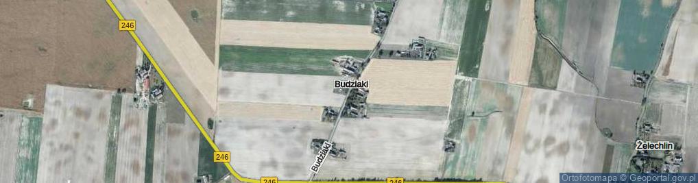 Zdjęcie satelitarne Budziaki ul.