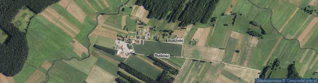 Zdjęcie satelitarne Budziski ul.