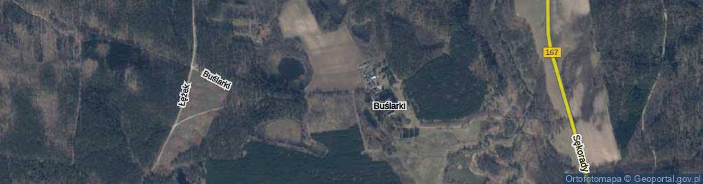 Zdjęcie satelitarne Buślarki ul.
