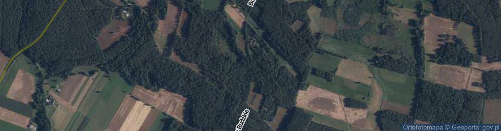 Zdjęcie satelitarne Budy Budzkie ul.