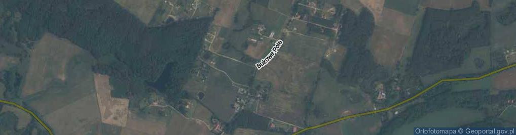 Zdjęcie satelitarne Bukowe Pole ul.