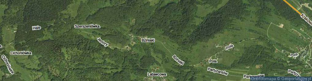 Zdjęcie satelitarne Bziniaki ul.