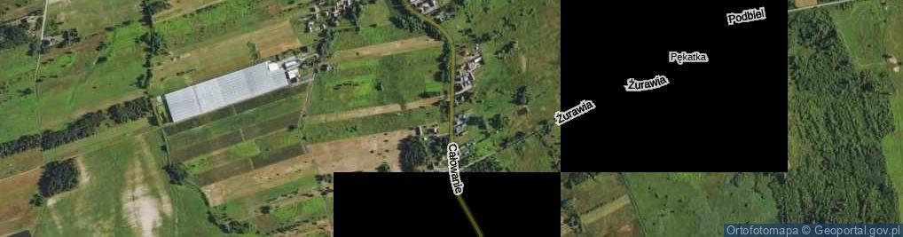 Zdjęcie satelitarne Całowanie ul.