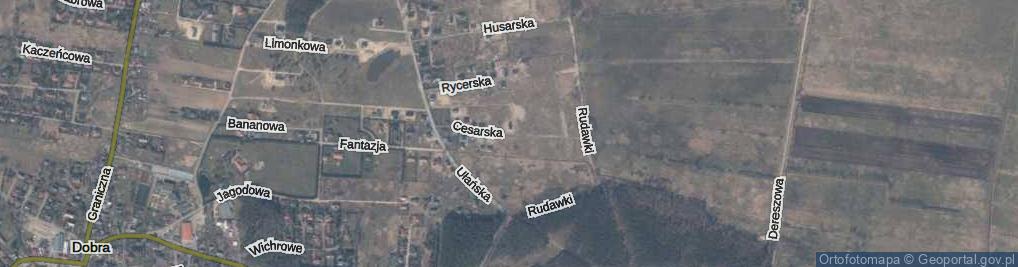 Zdjęcie satelitarne Cesarska ul.