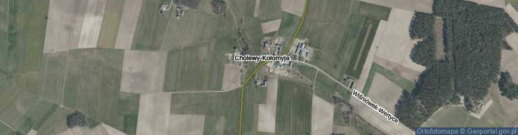 Zdjęcie satelitarne Cholewy-Kołomyja ul.