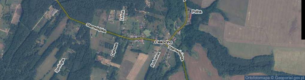 Zdjęcie satelitarne Ciekocino ul.