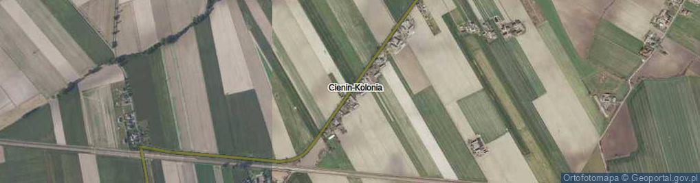 Zdjęcie satelitarne Cienin-Kolonia ul.
