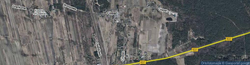 Zdjęcie satelitarne Ciopan ul.