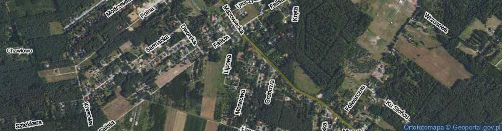 Zdjęcie satelitarne Cytrynowa ul.