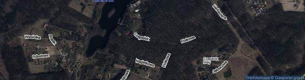 Zdjęcie satelitarne Czapielsk ul.