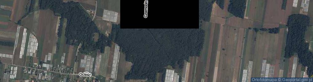 Zdjęcie satelitarne Czarnocin ul.