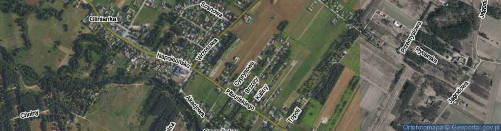 Zdjęcie satelitarne Czarnówka ul.
