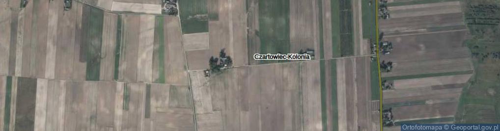 Zdjęcie satelitarne Czartowiec-Kolonia ul.