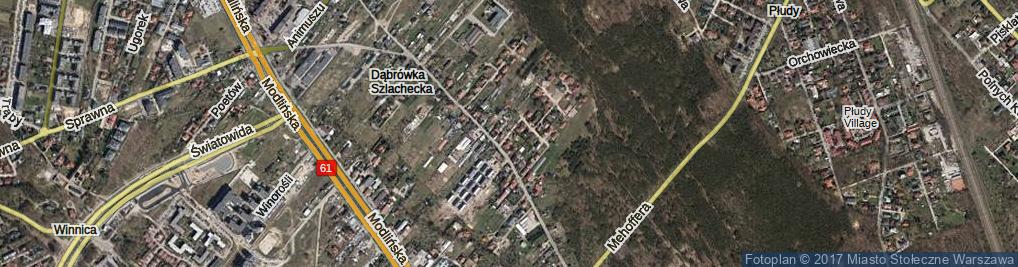 Zdjęcie satelitarne Czterolistnej Koniczynki ul.