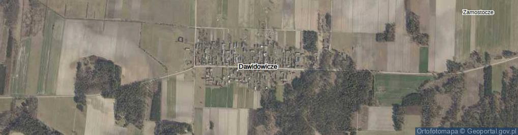 Zdjęcie satelitarne Dawidowicze ul.