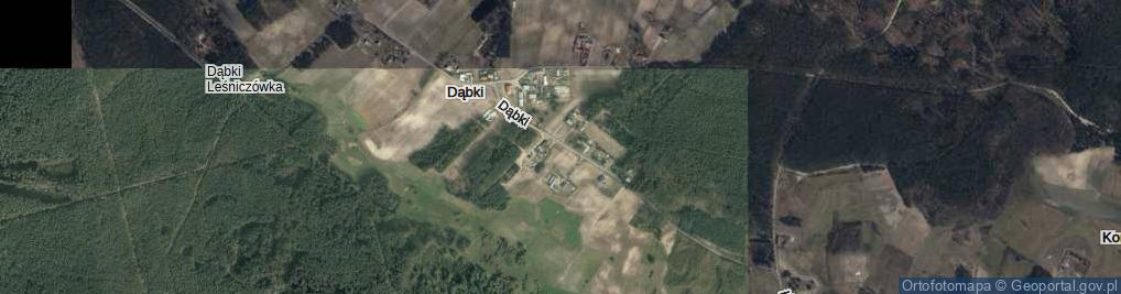 Zdjęcie satelitarne Dąbki ul.