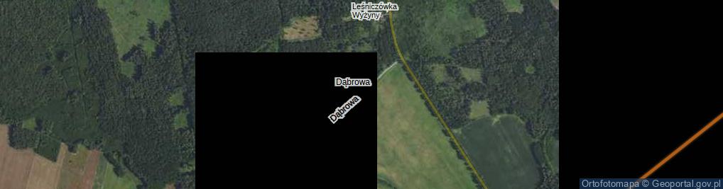 Zdjęcie satelitarne Dąbrowa ul.