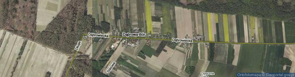 Zdjęcie satelitarne Dąbrowiecka ul.