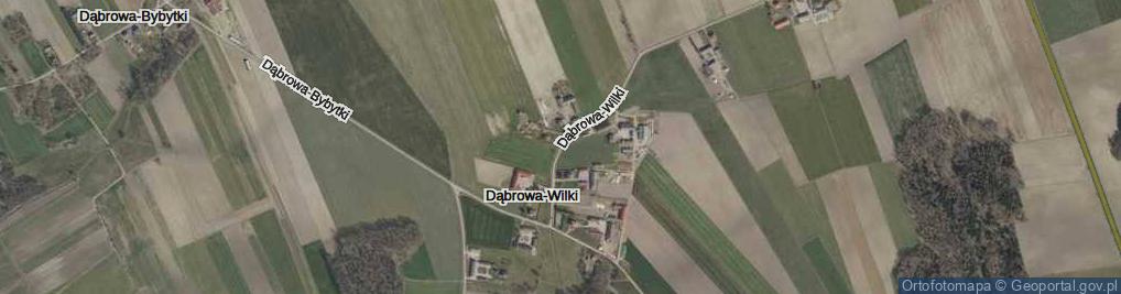 Zdjęcie satelitarne Dąbrowa-Wilki ul.
