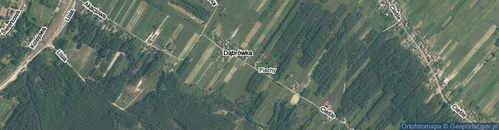 Zdjęcie satelitarne Dąbrówka ul.