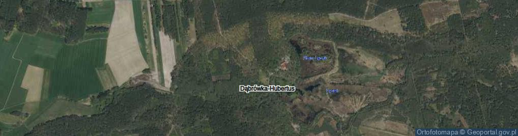 Zdjęcie satelitarne Dąbrówka-Hubertus ul.