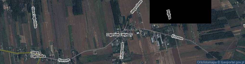 Zdjęcie satelitarne Dąbrówka-Wyłazy ul.