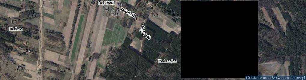 Zdjęcie satelitarne Dąbrówki ul.