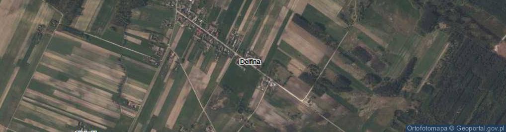 Zdjęcie satelitarne Delfina ul.